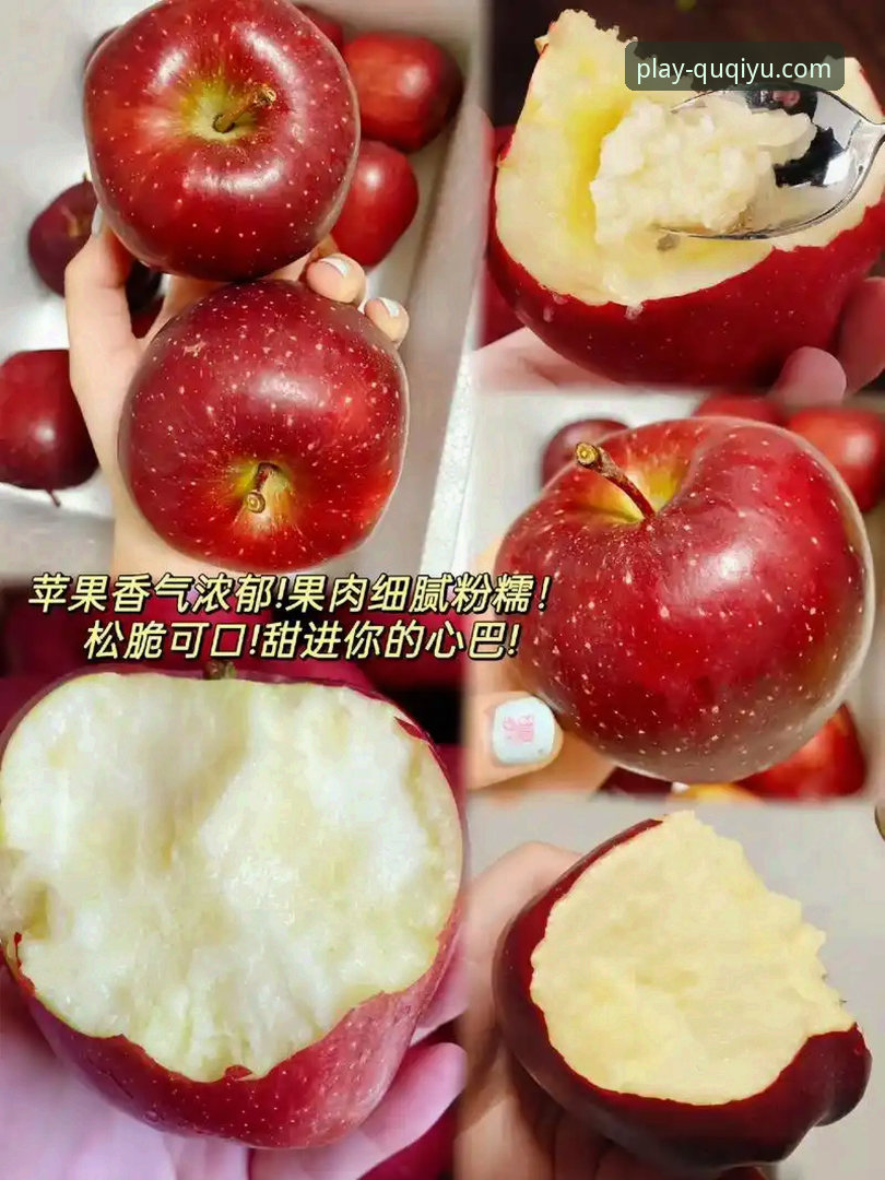 资深苹果用户分享：趣体育苹果版官方下载全流程与使用心得